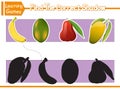 Find the correct shadows of cute cartoon fruits. Kids educational game. Vector Illustration. Character Cartoon Style