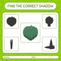 Find the correct shadows game with acorn squash. worksheet for preschool kids, kids activity sheet