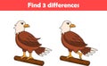 Education game for children find three differences between two eagle animal cartoon