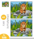 Find differences, education game for children, Beaver sits on a stone by the river