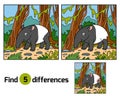 Find differences education game, Malayan tapir Royalty Free Stock Photo