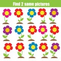 Find the differences educational children game. Kids activity fun page. Cute flowers Royalty Free Stock Photo