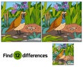 Find differences Royalty Free Stock Photo