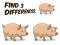 Find differences game pig vector illustration Royalty Free Stock Photo