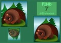 Find seven 7 differences hibernating bear in a den in the forest Royalty Free Stock Photo
