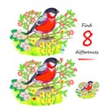 Find 8 differences. Illustration of cute bullfinch in spring garden. Logic puzzle game for children and adults. Page for kids