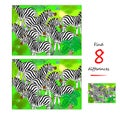 Find 8 differences. Illustration of herd of zebras. Logic puzzle game for children and adults. Page for kids brain teaser book.