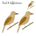 Find differences kids layout for game bird