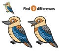 Find differences, Kookaburra