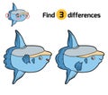 Find differences, Ocean sunfish Royalty Free Stock Photo