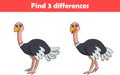 Education game for children find three differences between two ostrich animal cartoon Royalty Free Stock Photo