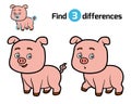 Find differences, Pig Royalty Free Stock Photo