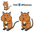 Find differences, Quokka Royalty Free Stock Photo