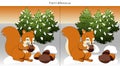 Find 5 differences with a squirrel gnawing nuts Royalty Free Stock Photo