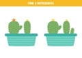 Find three differences between two cacti on pot.