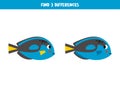 Find 3 differences between two cute blue tang fish