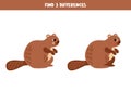 Find 3 differences between two cute cartoon beavers Royalty Free Stock Photo