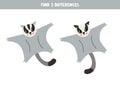 Find 3 differences between two cute cartoon sugar gliders Royalty Free Stock Photo