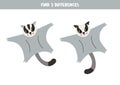 Find 3 differences between two cute cartoon sugar gliders