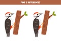 Find 3 differences between two cute cartoon woodpeckers Royalty Free Stock Photo