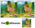 Find differences (Urial, wild sheep) Royalty Free Stock Photo