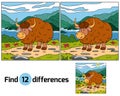Find differences (yak)