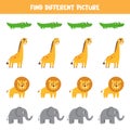 Find different picture between cute African animals