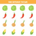 Find different picture in each row. Set of colorful vegetables