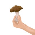 Find an edible mushroom, hold a brown mushroom in your hand.