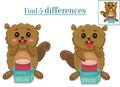 Find five differences from animals,compare beavers Royalty Free Stock Photo