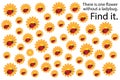 Find flower without ladybug, spring fun education puzzle game for children, preschool worksheet activity for kids, task for the