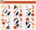 Find the identical groups of objects with halloween attributes.