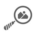Find images, Search photos icon. Gray vector graphics
