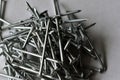 A bunch of small iron nails on a white background Royalty Free Stock Photo
