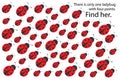 Find ladybug with 4 spots, spring fun education puzzle game for children, preschool worksheet activity for kids, task for the