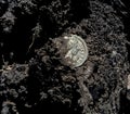 find in the land of the old Roman silver coin ancient Royalty Free Stock Photo