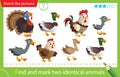 Find and mark two identical animals. Puzzle for kids. Matching game, education game for children. Color images of farm animals. Royalty Free Stock Photo