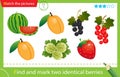 Find and mark two identical items. Puzzle for kids. Matching game, education game for children. Color image of berries and fruits