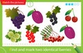 Find and mark two identical items. Puzzle for kids. Matching game, education game for children. Color image of berries and fruits Royalty Free Stock Photo