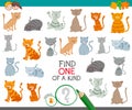 Find one cat of a kind game for children Royalty Free Stock Photo