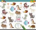Find one of a kind with animal characters