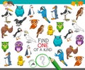 Find one of a kind with birds animal characters