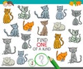 Find one of a kind picture with cats Royalty Free Stock Photo