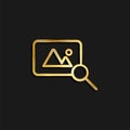 find, photo gold icon. Vector illustration of golden