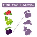 Find the right shade of fruit. Drain the gooseberries .