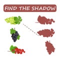 Find the right shade of fruit. Kiwi with grapes and persimmon .