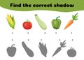 Find the right shade of vegetables and connect them. A simple logic exercise. Vector illustration.