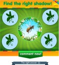 Find right shadow bee