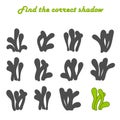 Find the right shadow-an educational game for children. Set with silhouettes of simple seaweed . Preschool Educational game.