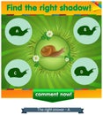 Find right shadow snail